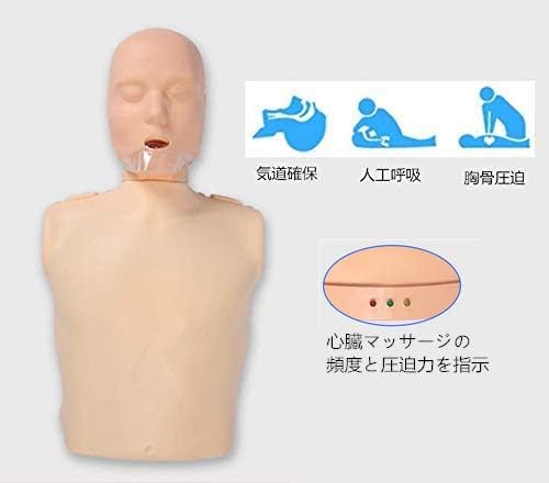 Amazon.co.jp: 心肺蘇生トレーニングモデル CPR訓練シミュレータ 半身